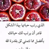 userl6wgdqvpx5