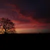 joshua.alcock_08