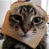 im.bork