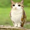 whiskersacnh