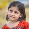 shehryarkhan0459