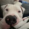 kateanderson34