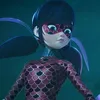 ladybugcalv