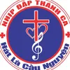 nhipdapthanhca