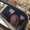 milliy510