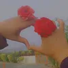 habibahmd13