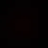 luu_t11