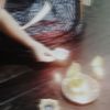 shans_46
