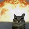 vulghiiyy