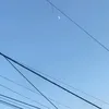 daodihongtt2