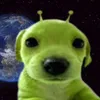 gavin_secondaccou