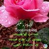 rajaabdulrehman67