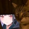 ichald.takashii