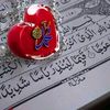 sunnyshahzada569