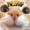 nesmi.toyy