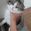 anghel_oi_anghel