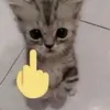 jscisg