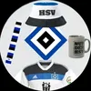 nic_hsl08