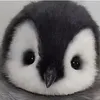 lmthng6
