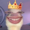 danie_623