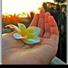 user7815621743314sinha