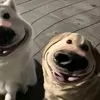 nhyw_tn