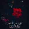 sarasalem5473