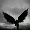 pierrot_334x
