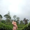 rizkiaea