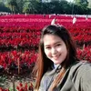apntree_linly