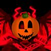 user512190335861