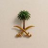 sebaalghamdi9092