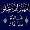 user9481252261582