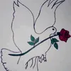 userlqkijbi8ll