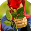 user4904221560621