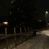 sara_4024
