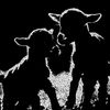 darkonomics_