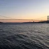 njai63