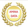 aminadata1