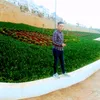 faridabchir