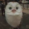 bored_person742