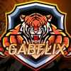 gabflix123