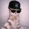 ismael_7x