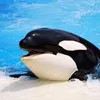 masterorca52hzzz
