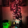 pumpkins_glow