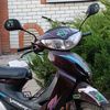 viperactive