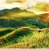 truongvandoi1986