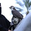 ميلاف العنزي