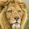 www.tiktok.money111