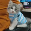 outfitmeong